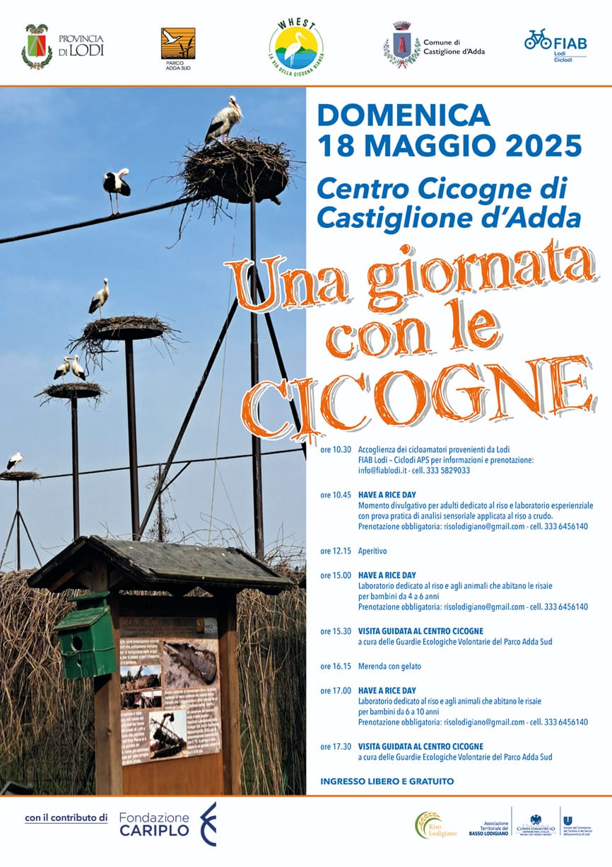 Immagine anteprima