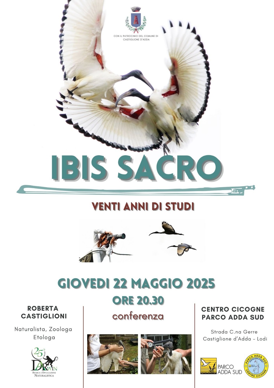 Immagine anteprima