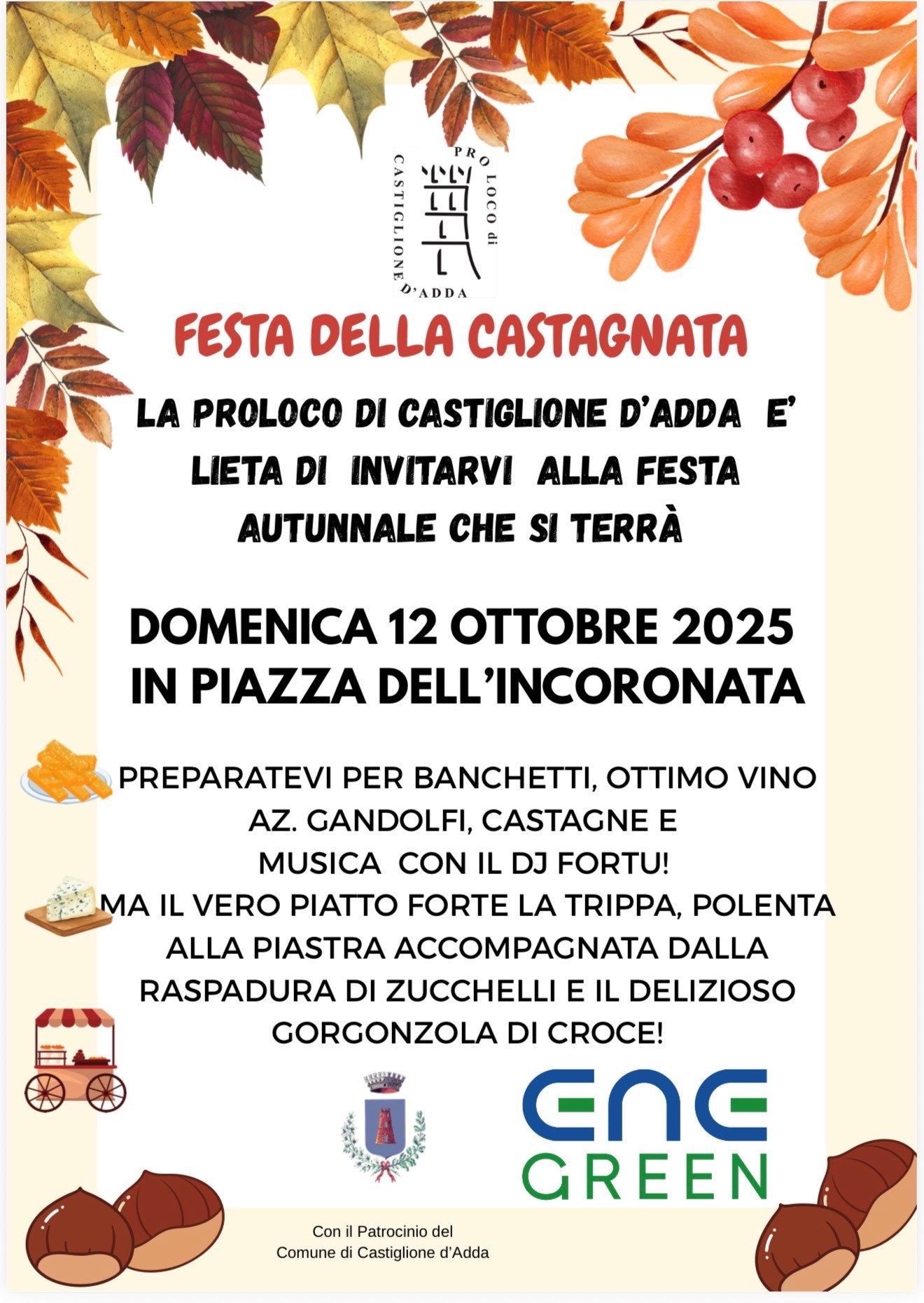 Immagine anteprima