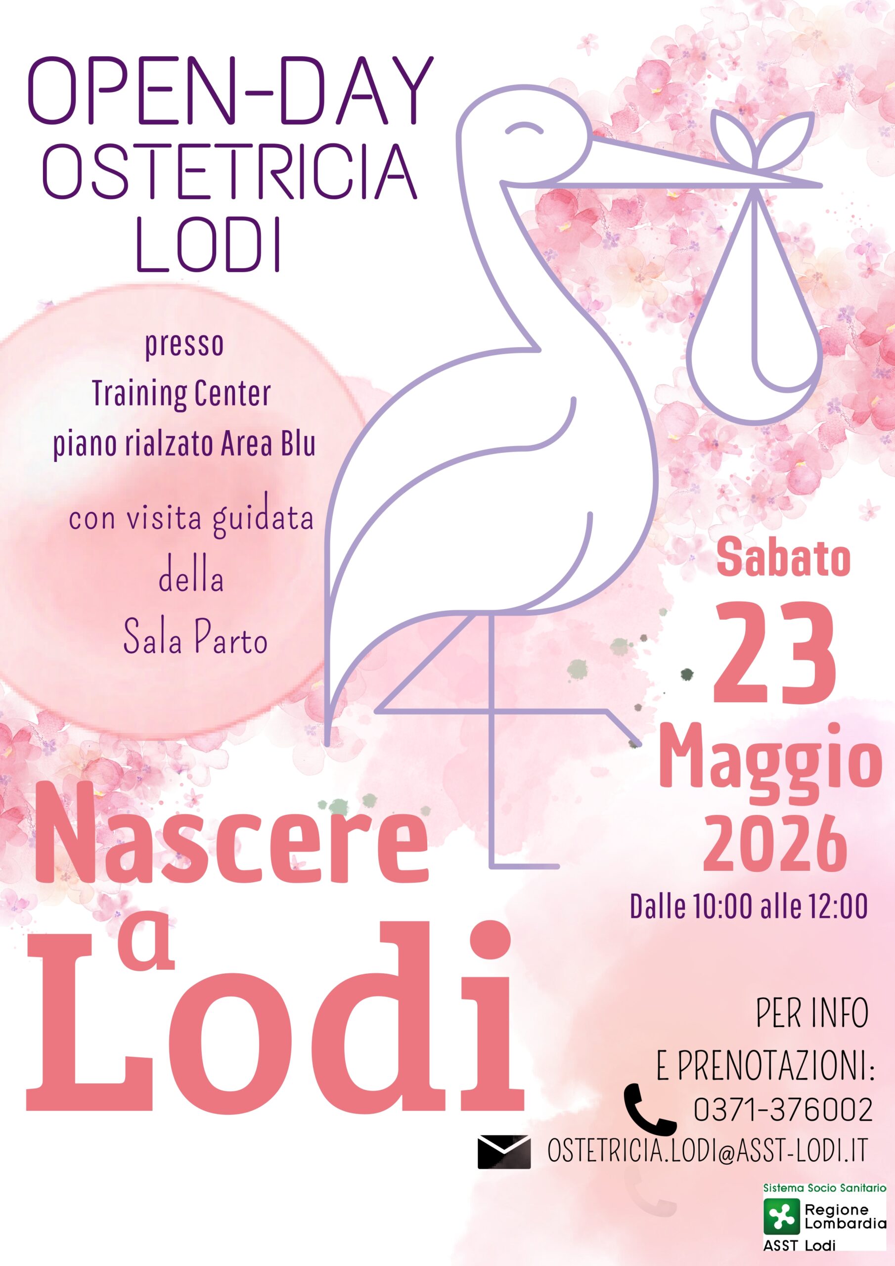 Immagine anteprima