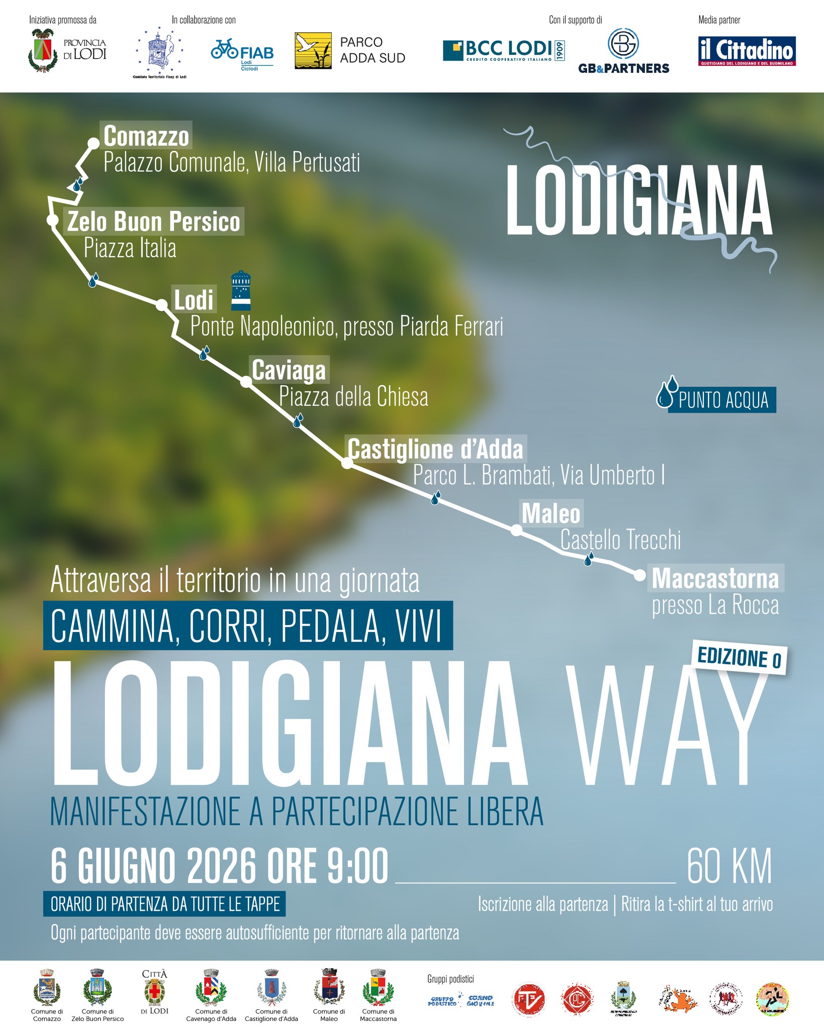 Immagine anteprima