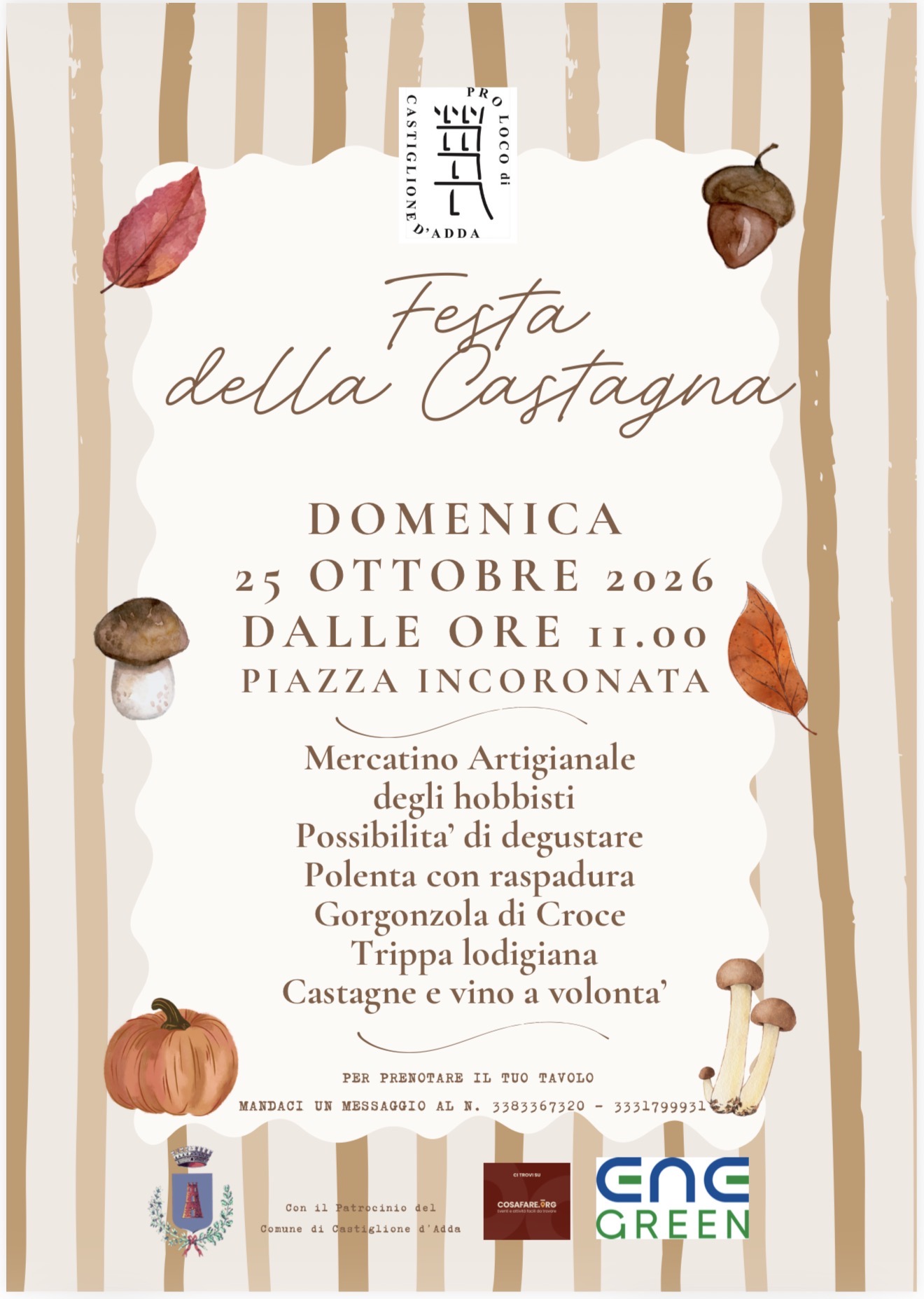 Immagine anteprima